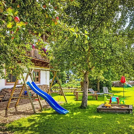 Appartement Hanserbauer-1 By Interhome Oberhaus